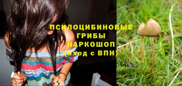 бошки Белокуриха
