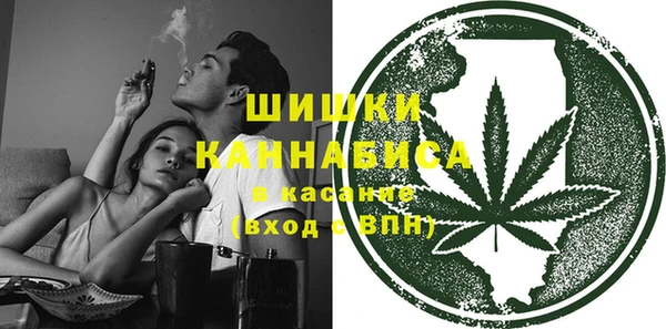 бошки Белокуриха