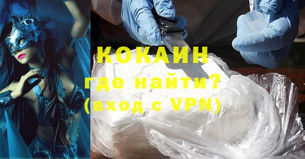 бошки Белокуриха