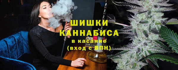гидра Богородицк