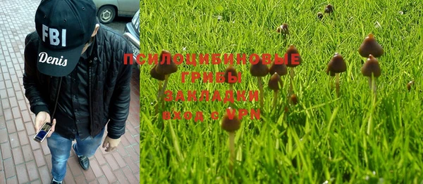 бошки Белокуриха